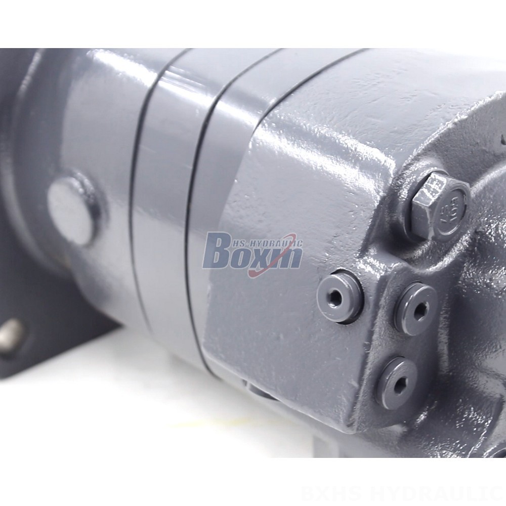 BM6 Cycloid Hydraulic Motor - OEM/ODM Services Available - 245 cc/r 150 Lpm detail image